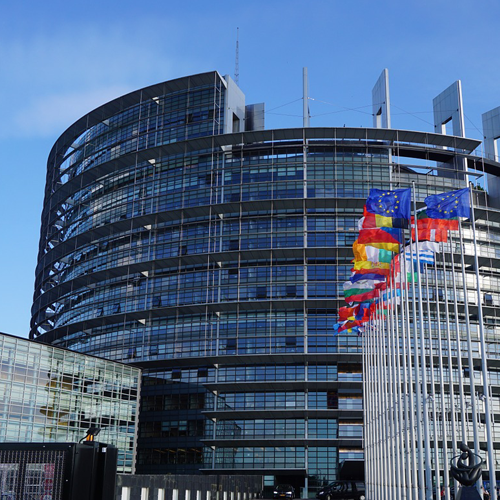 Former MEP, says there is no justification for the EU policy on plastic